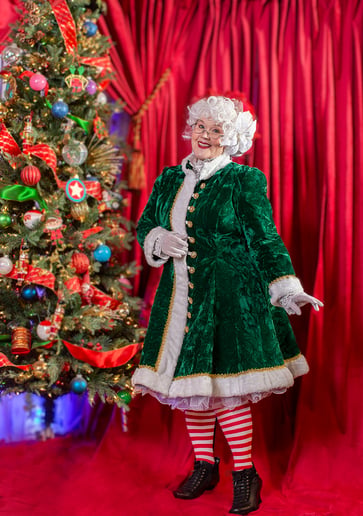 Gallery photo 6 of House of Kringle