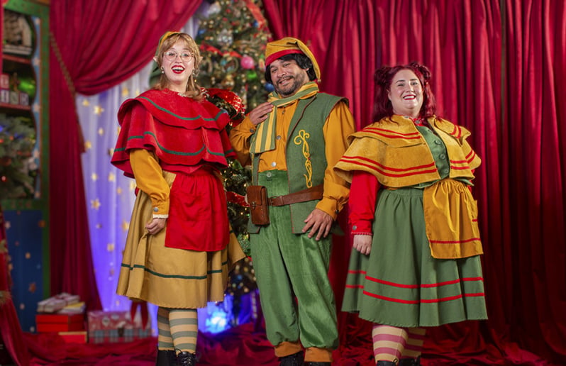 Gallery photo 8 of House of Kringle