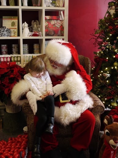 Gallery photo 2 of Santa Brian