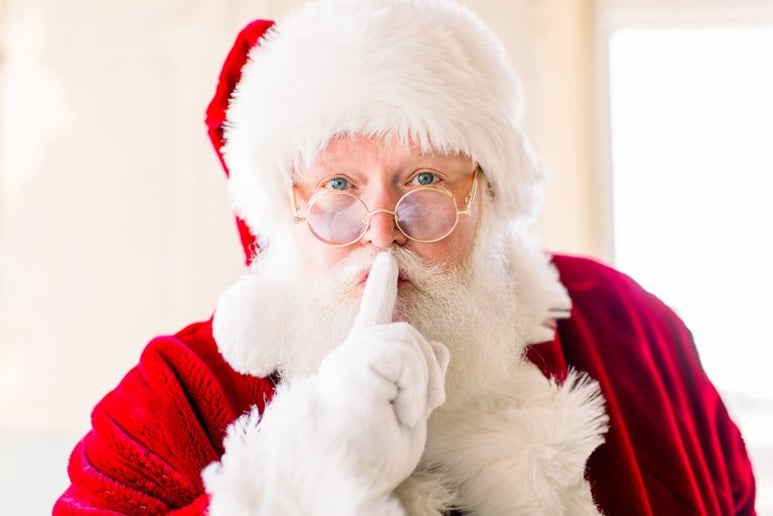Gallery photo 5 of Santa Brian