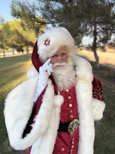 Gallery photo 3 of Santa Bright