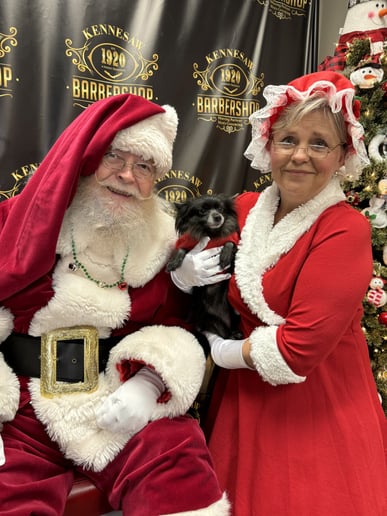 Gallery photo 4 of Santa Brooks