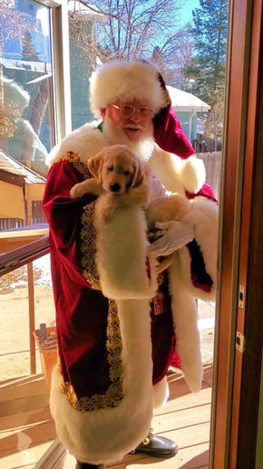 Gallery photo 6 of Santa Bryan