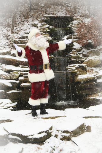 Gallery photo 4 of Santa Buddy