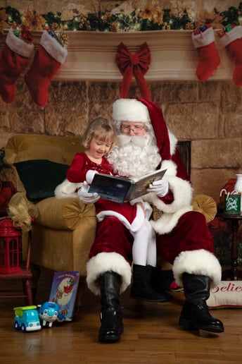 Gallery photo 5 of Santa Buddy