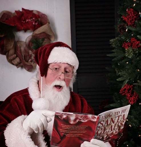 Gallery photo 9 of Santa Bugg