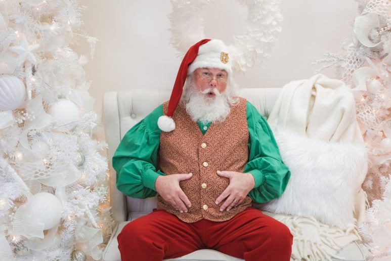 Gallery photo 2 of NEA Santa David Dixon