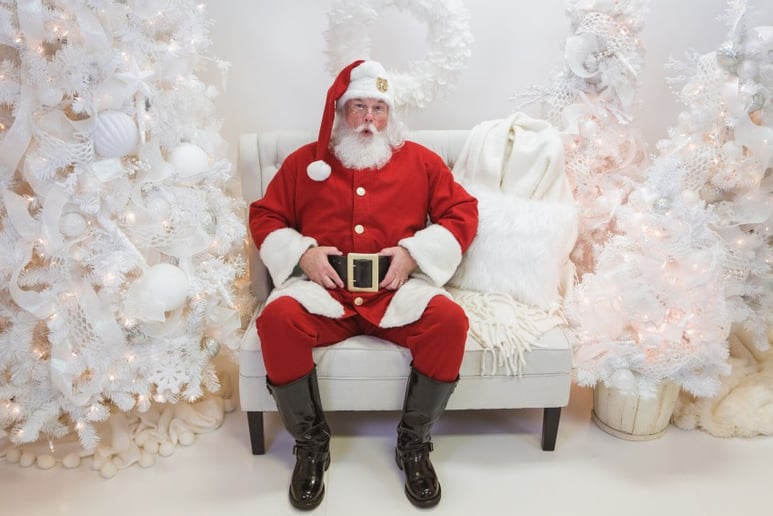 Gallery photo 3 of NEA Santa David Dixon