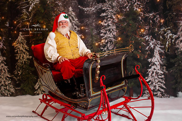 Gallery photo 5 of NEA Santa David Dixon