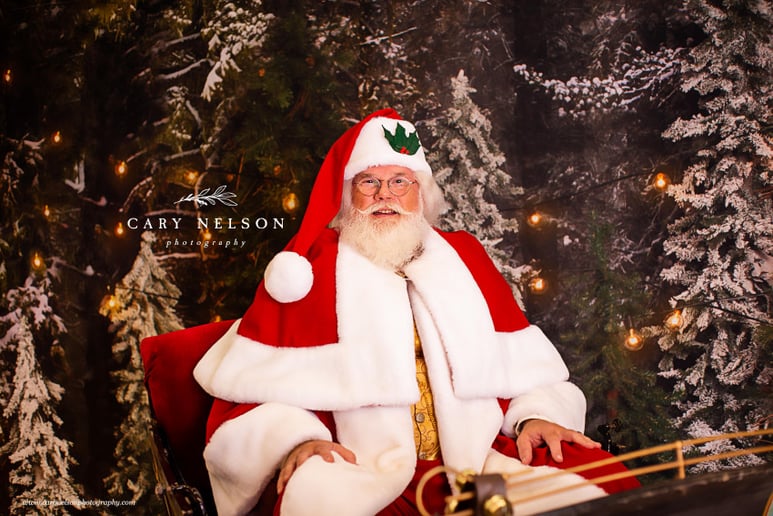 Gallery photo 6 of NEA Santa David Dixon