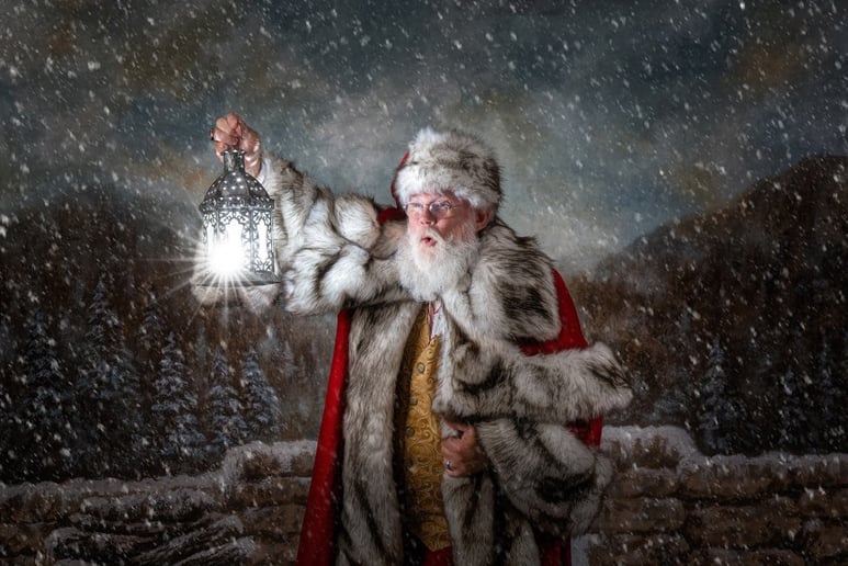Gallery photo 8 of NEA Santa David Dixon