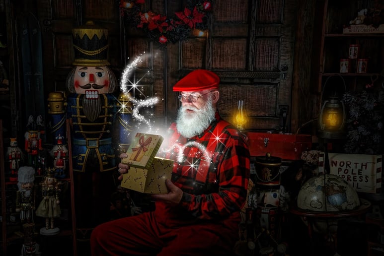 Gallery photo 16 of NEA Santa David Dixon