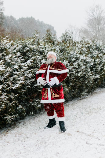 Gallery photo 5 of Santa Capps