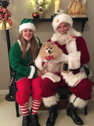 Gallery photo 6 of Santa Carl