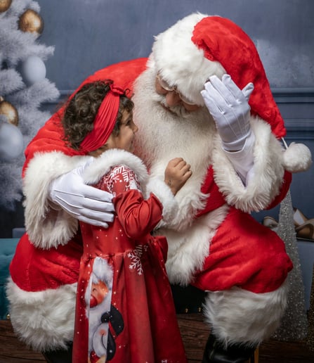 Gallery photo 5 of Santa Michael