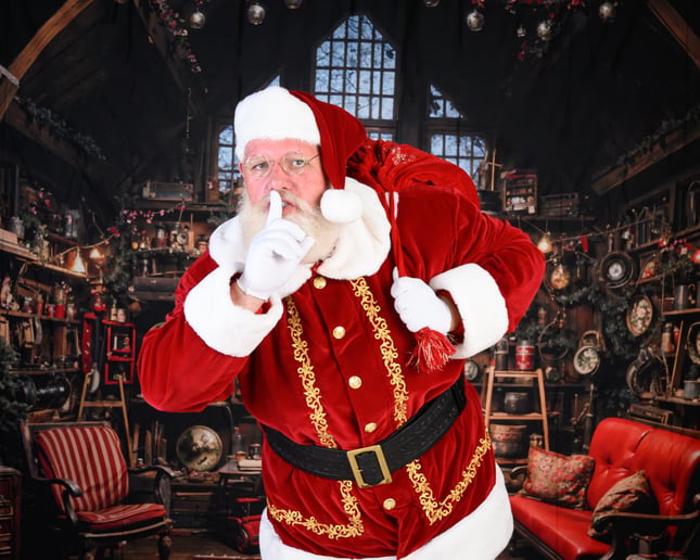 Gallery photo 5 of Santa Chad