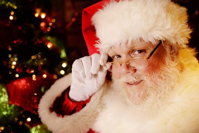Gallery photo 5 of Santa Edwin