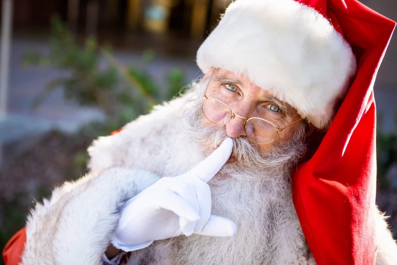 Gallery photo 1 of Santa Chet