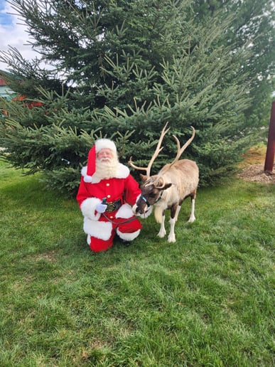 Gallery photo 3 of Santa Chet
