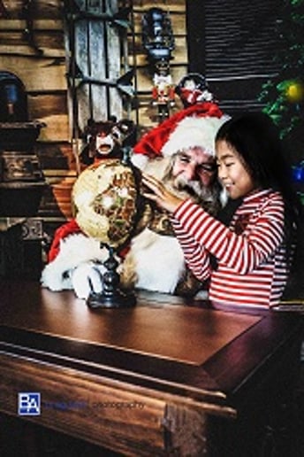 Gallery photo 9 of Santa Chicago
