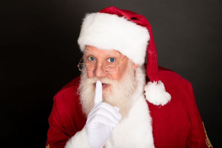 Gallery photo 1 of Santa Chris and Cathy Claus