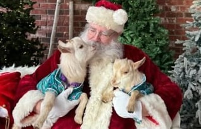 Gallery photo 1 of Santa Chris Kringle
