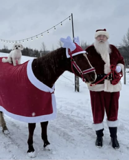 Gallery photo 2 of Santa Chris Kringle