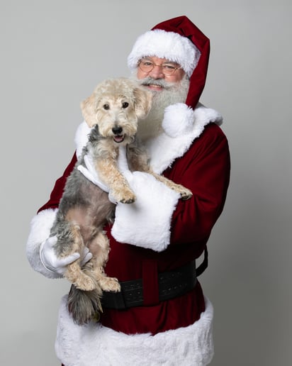 Gallery photo 8 of Santa Chris
