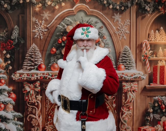 Gallery photo 5 of Santa Chris