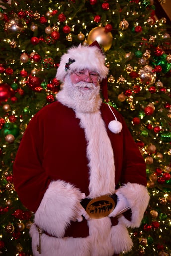 Gallery photo 3 of Santa Chris