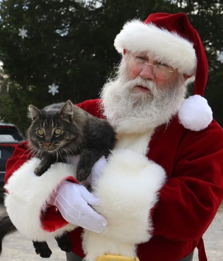 Gallery photo 6 of Santa Chuck