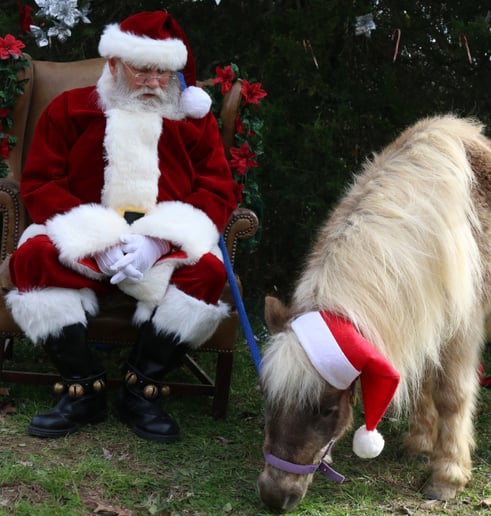 Gallery photo 8 of Santa Chuck