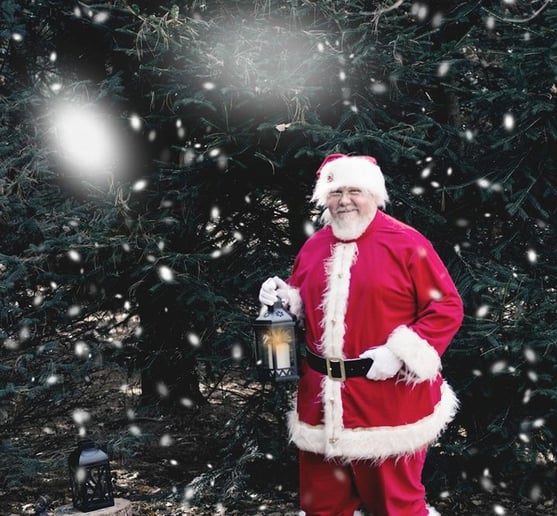 Gallery photo 2 of Santa Clark