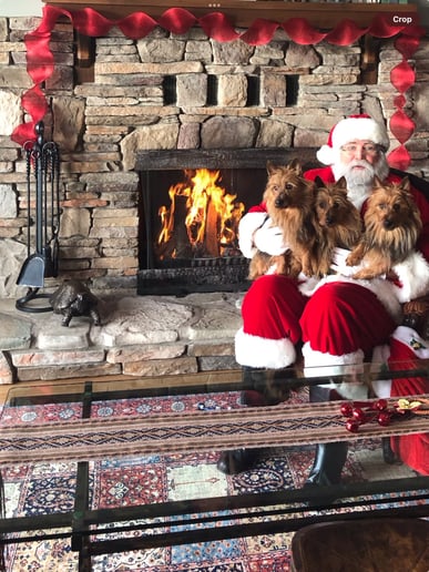 Gallery photo 7 of Santa Claus - Bill - Victoria