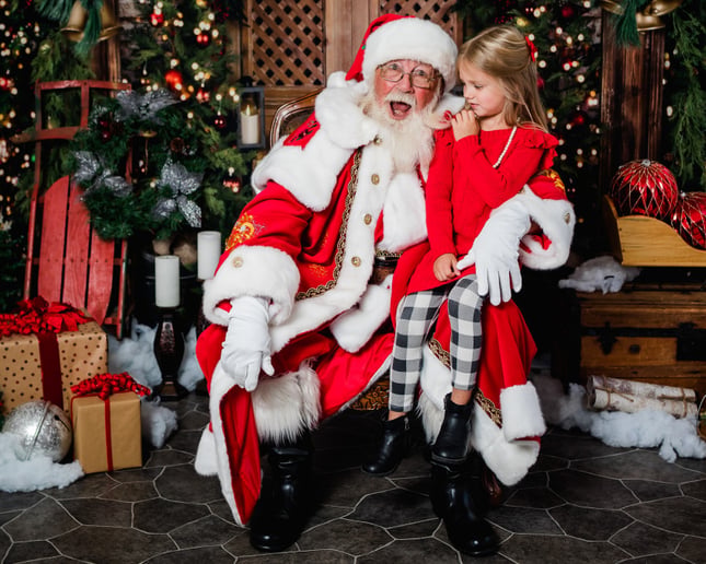 Gallery photo 8 of Santa Claus Ken