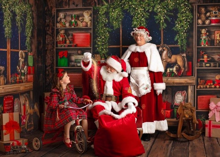 Gallery photo 13 of Santa Claus Ken