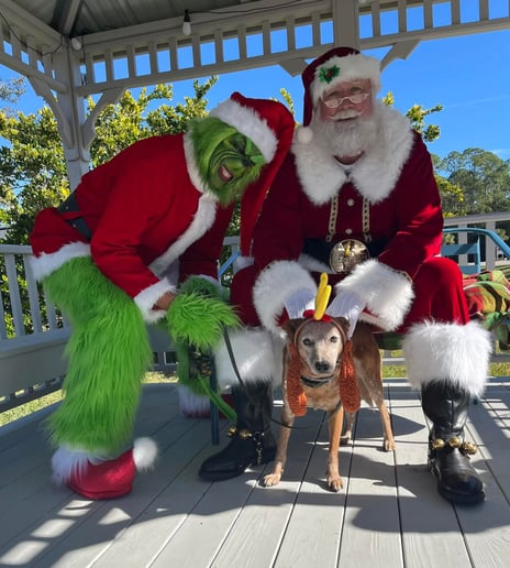 Gallery photo 2 of Mandarin Santa and The Grinch
