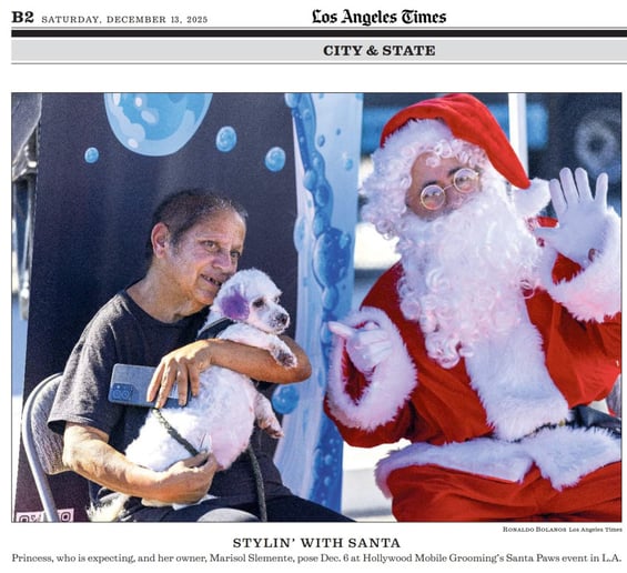 Gallery photo 5 of SINGING and DANCING SANTA for your event or party!
