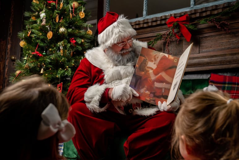 Gallery photo 1 of Santa Claus Jim