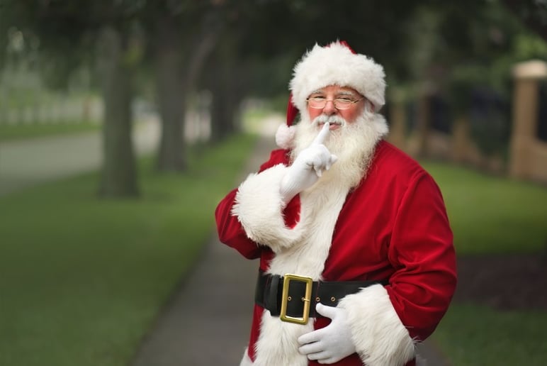 Gallery photo 8 of Santa Claus by Greg