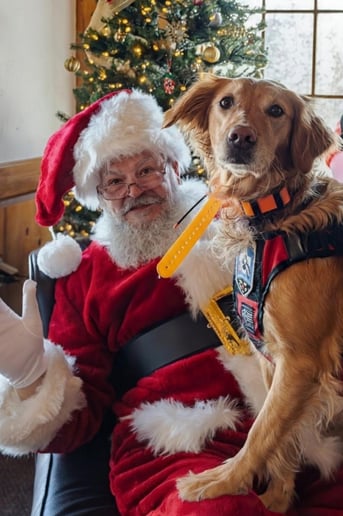 Gallery photo 1 of Santa Claus Vince