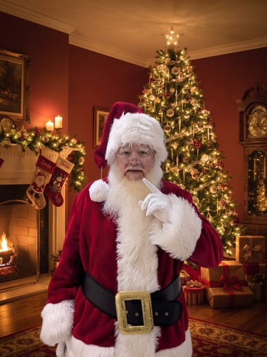 Gallery photo 2 of Santa Claus Vince