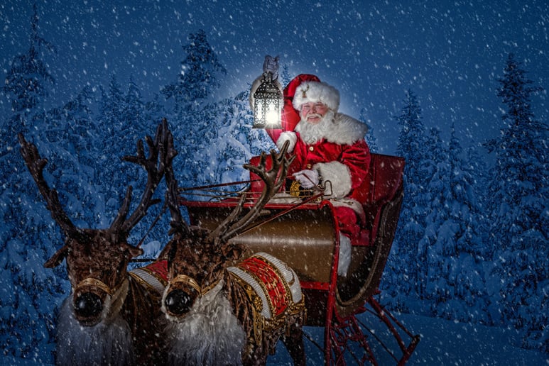 Gallery photo 4 of Real Bearded Santa Claus