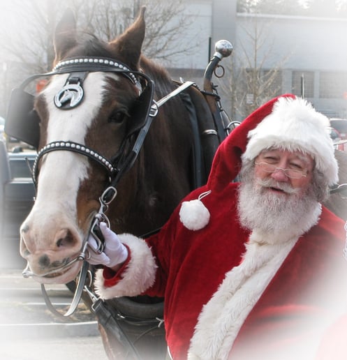 Gallery photo 8 of Santa Claus Lou