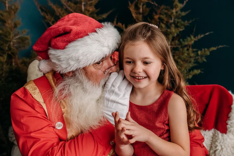 Gallery photo 7 of Santa Claus Mike