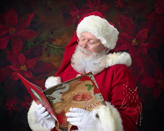 Gallery photo 22 of Santa Claus Tim