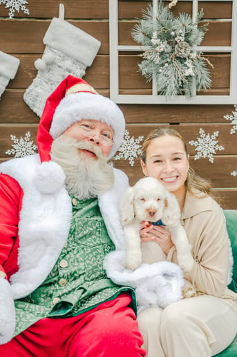 Gallery photo 11 of Santa Claus Tim
