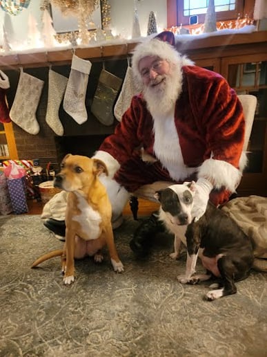 Gallery photo 4 of Santa Dave