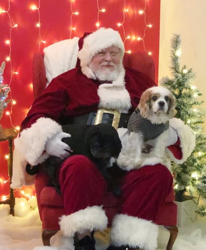 Gallery photo 2 of Santa Claus Chris