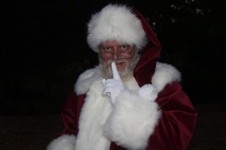 Gallery photo 1 of Santa George
